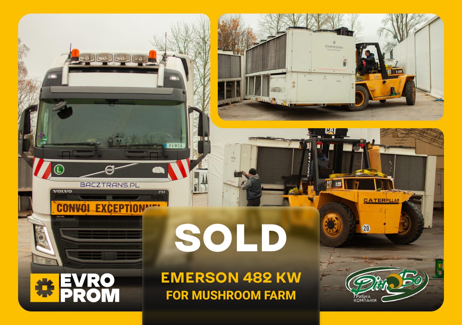 Emerson 482 kW Chiller with Free Cooling for DINBO Mushroom Farm